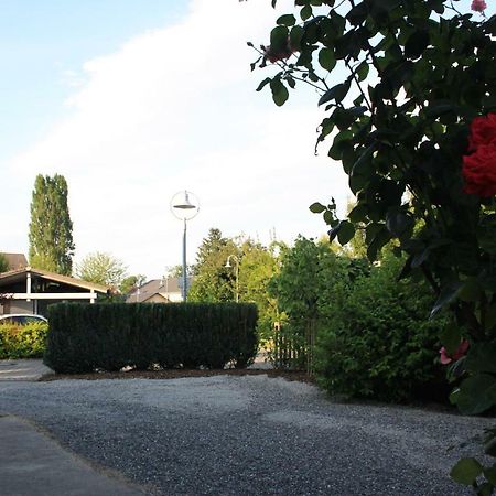 Ferienwohnung Anna - Charmante Ferienwohnung In Bevorzugter Lage Konstanz Dış mekan fotoğraf